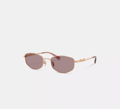 Lentes Coach Mujer Gafas de Sol Metal Narrow Rectangulares