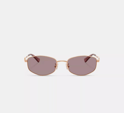 Lentes Coach Mujer Gafas de Sol Metal Narrow Rectangulares