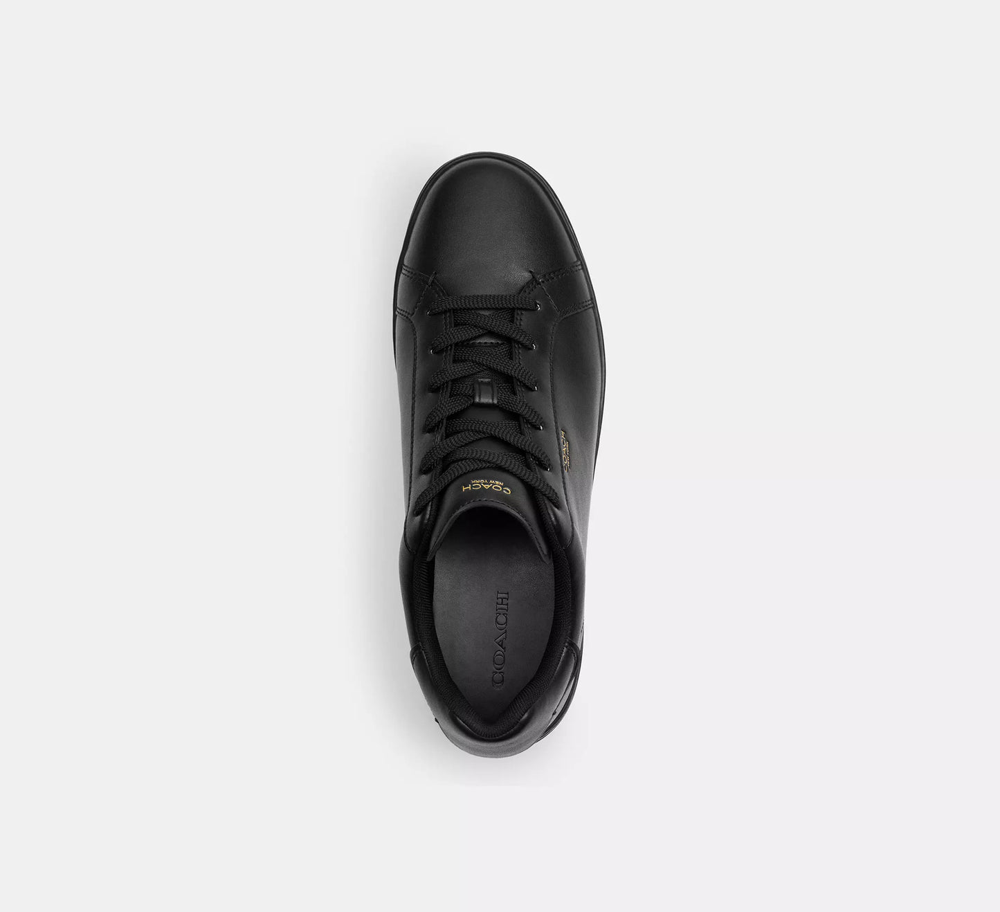 Tenis Coach Hombre High Line Sneakers Casuales Elegante