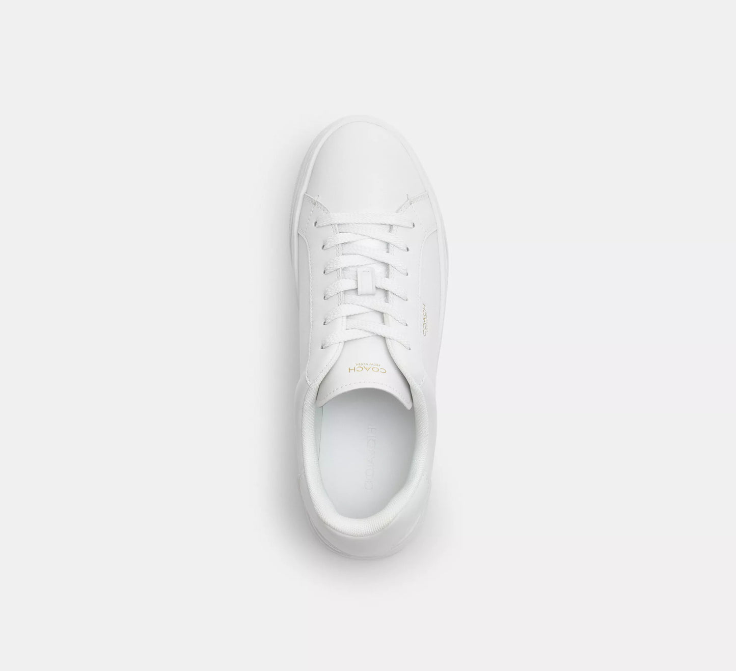Coach Tenis Mujer High Line Sneaker Casuales