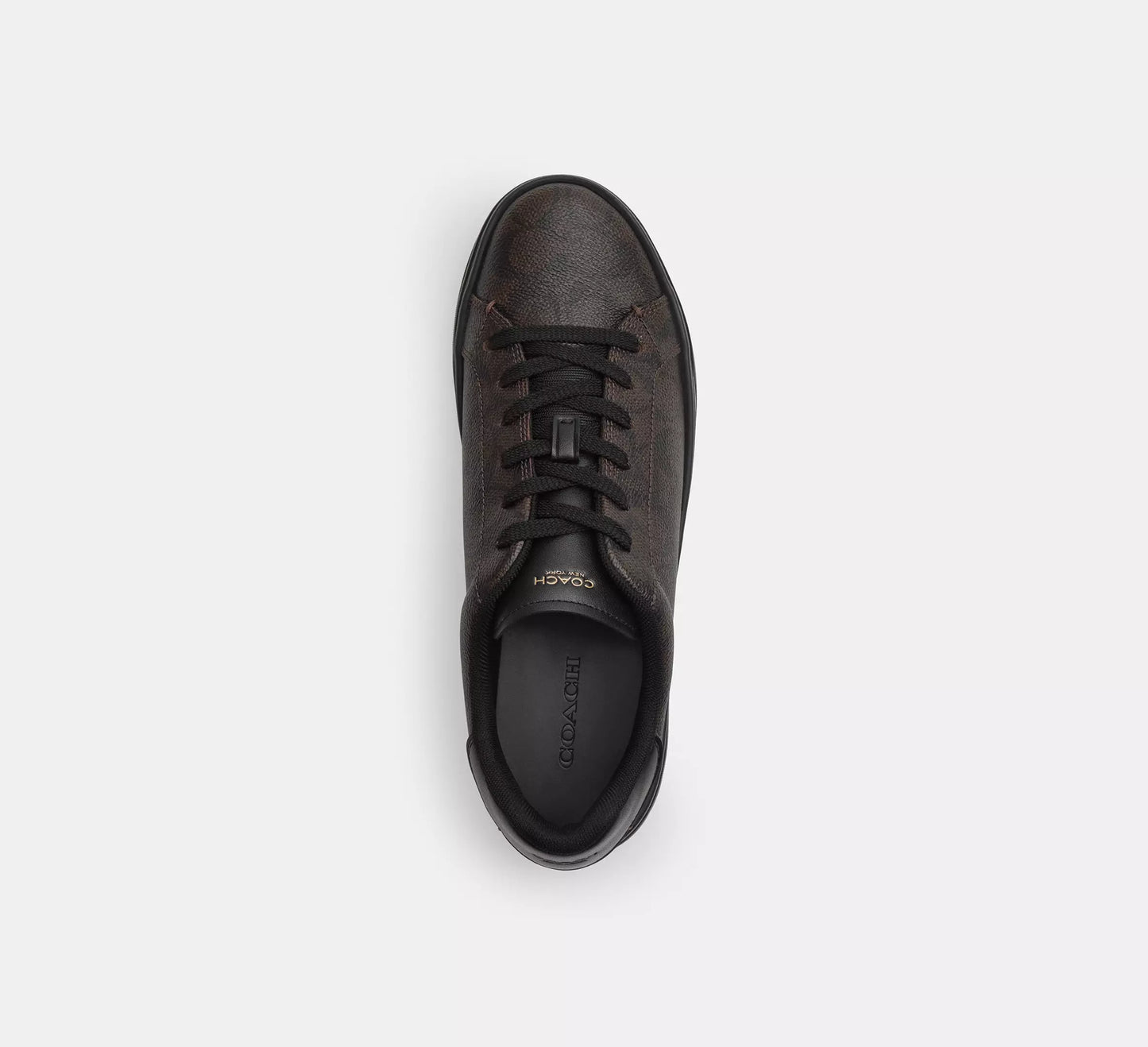 Coach Tenis Mujer High Line Sneaker Casuales