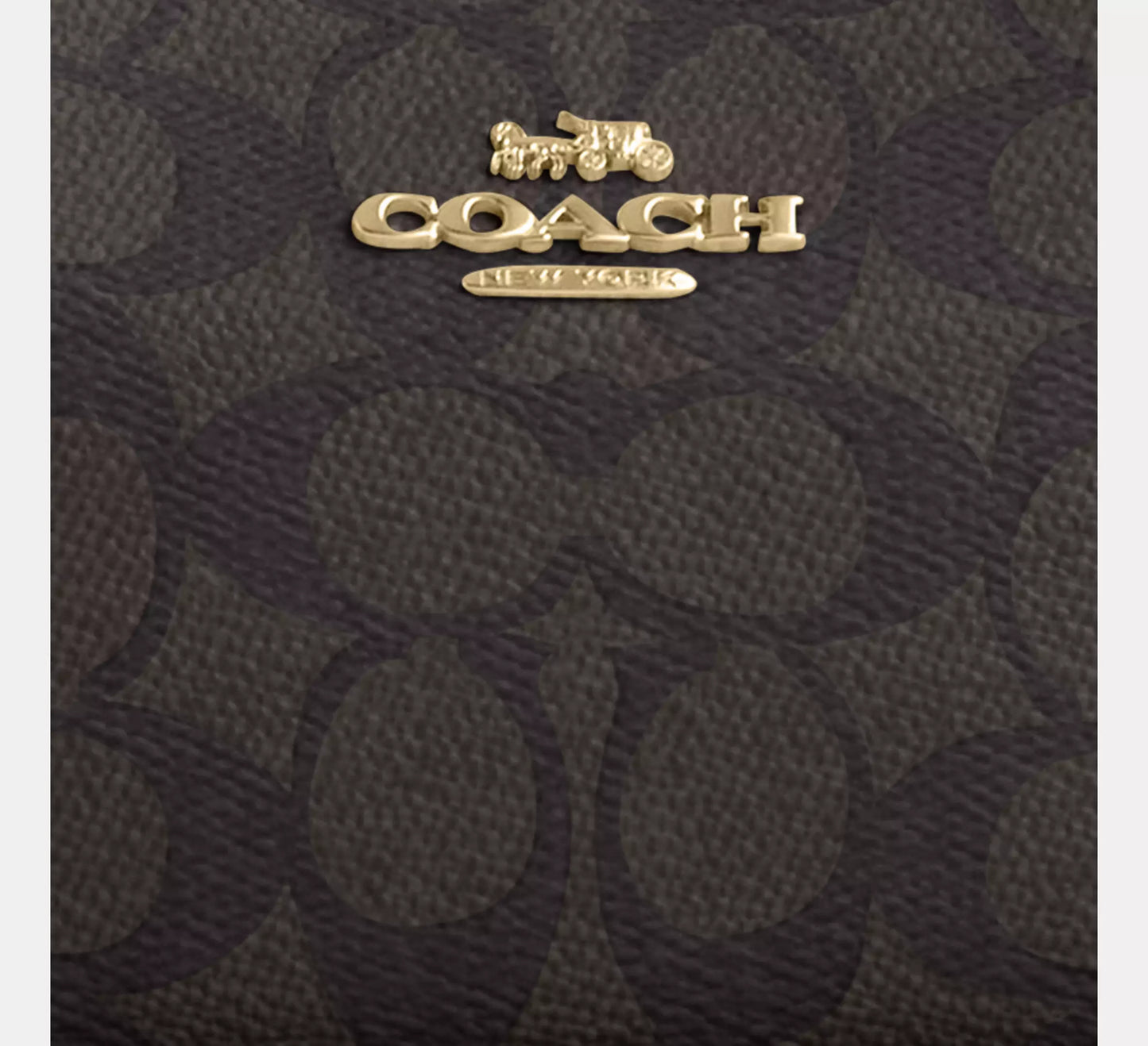 Crossbody Coach Mujer Teri Mini Elegante