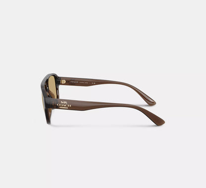 Lentes Coach Mujer Gafas de Sol de Piloto